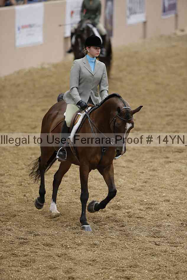 Proof 14yn_04175