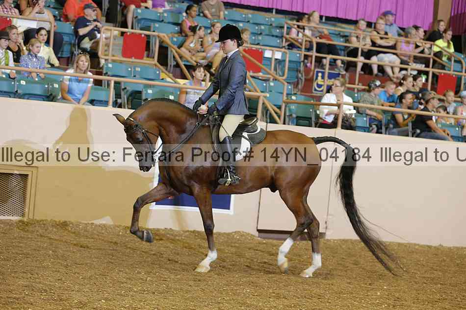 Proof 14yn_04184