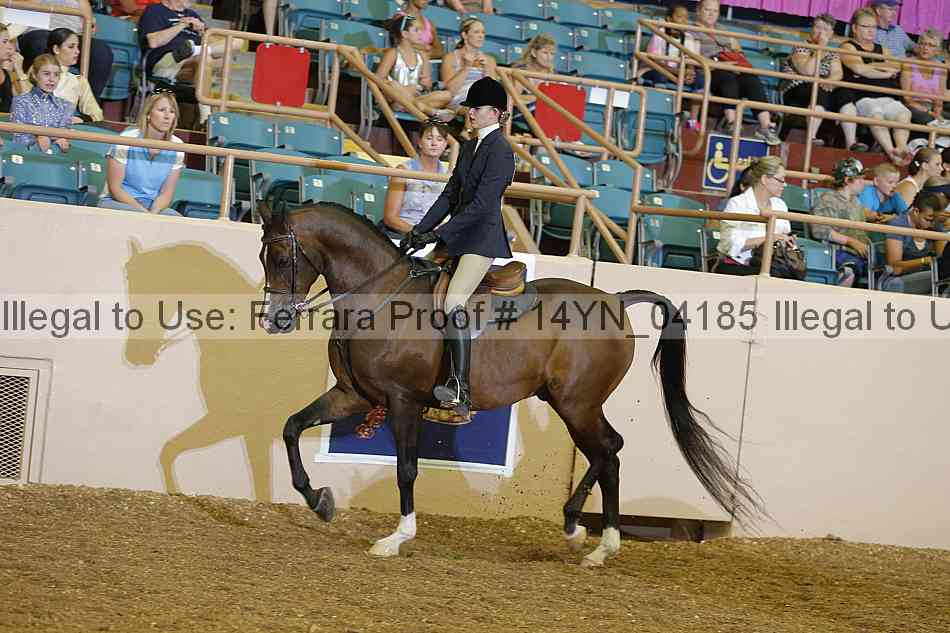 Proof 14yn_04185