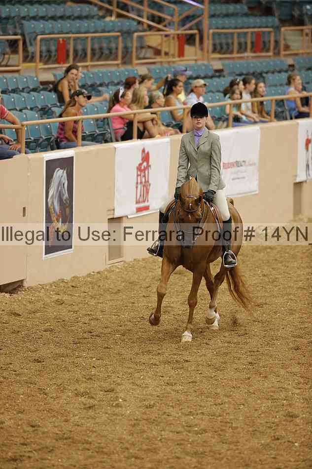 Proof 14yn_04190