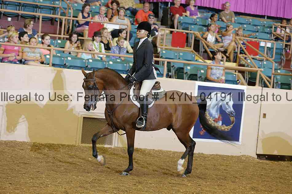 Proof 14yn_04191