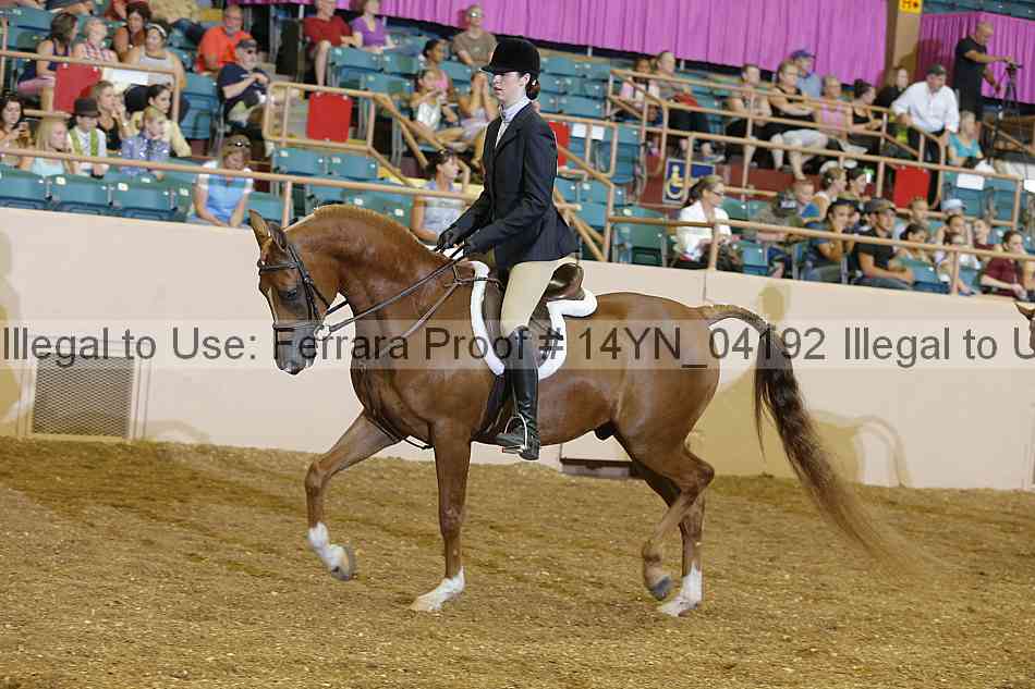 Proof 14yn_04192