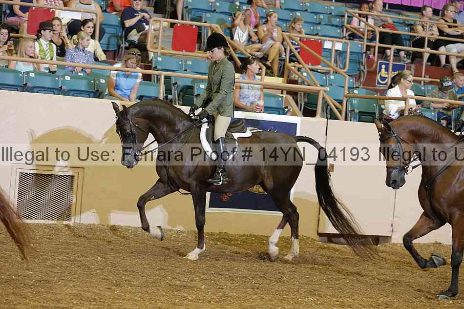 Proof 14yn_04193