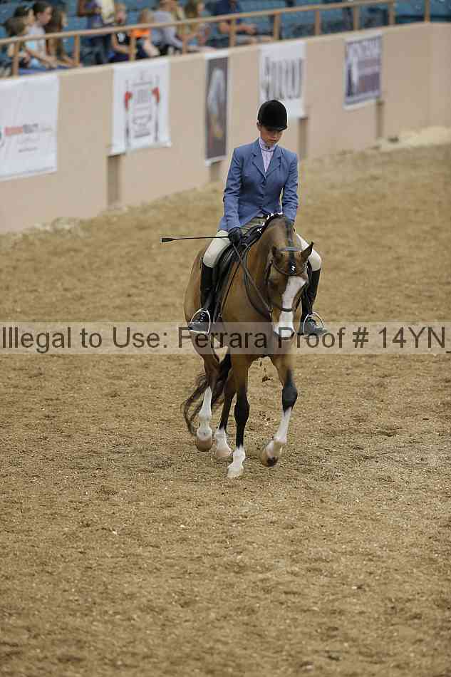 Proof 14yn_04195