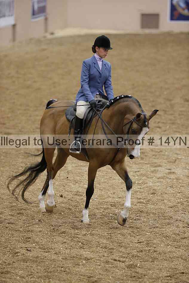 Proof 14yn_04196