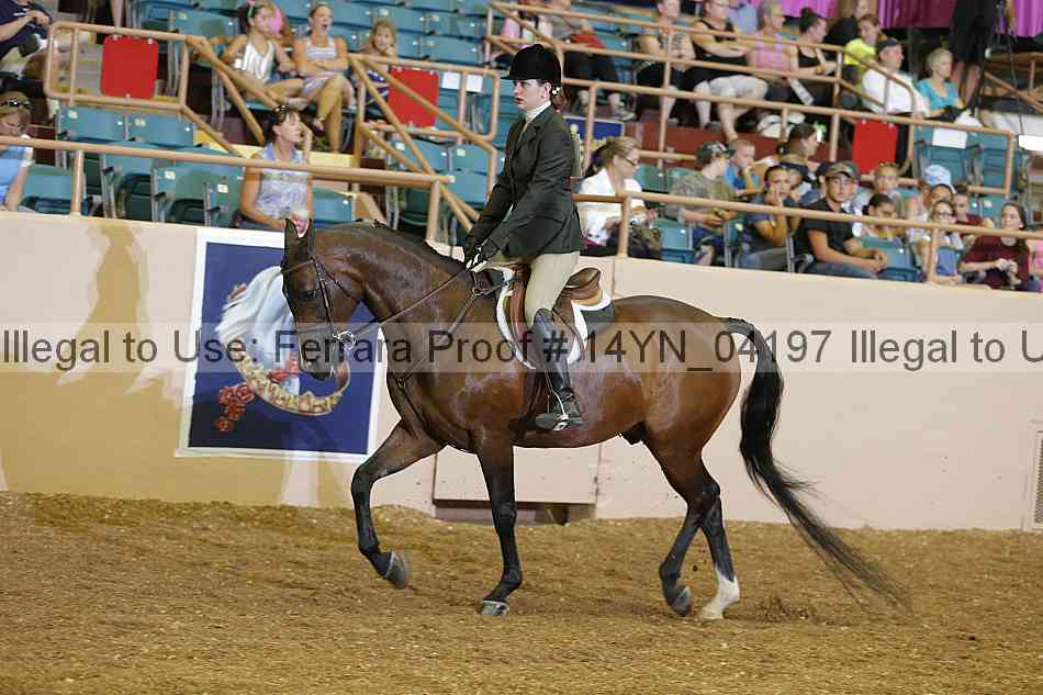 Proof 14yn_04197
