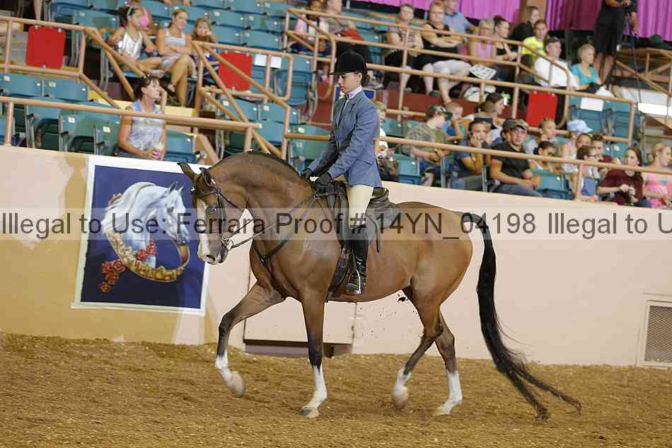Proof 14yn_04198