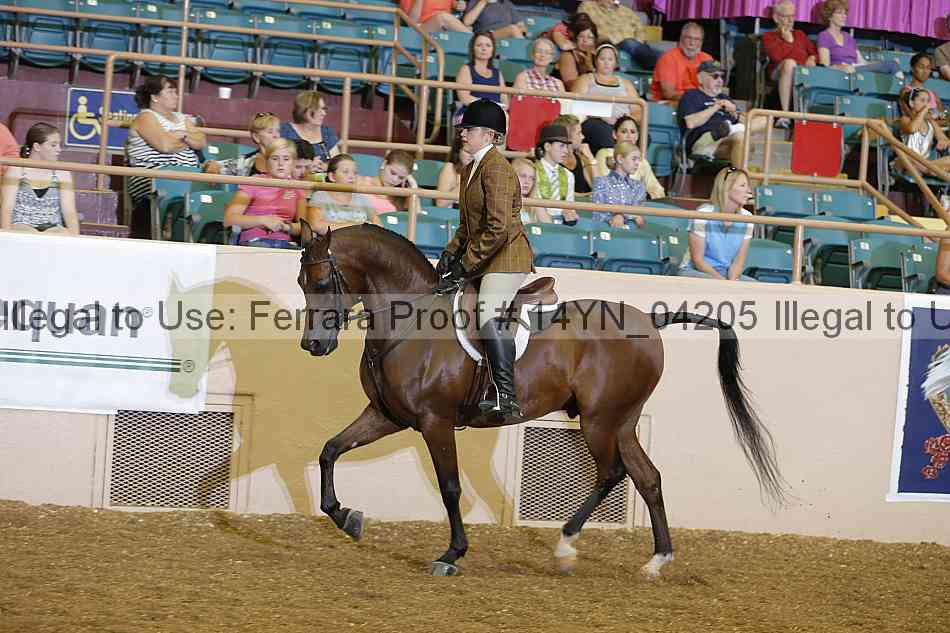 Proof 14yn_04205