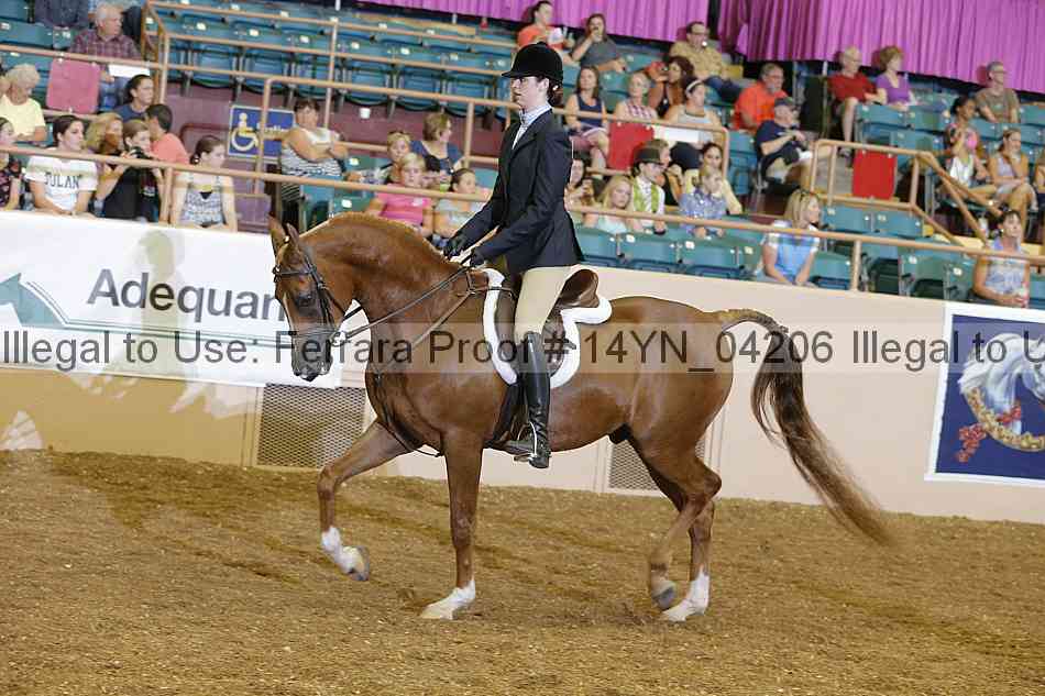 Proof 14yn_04206