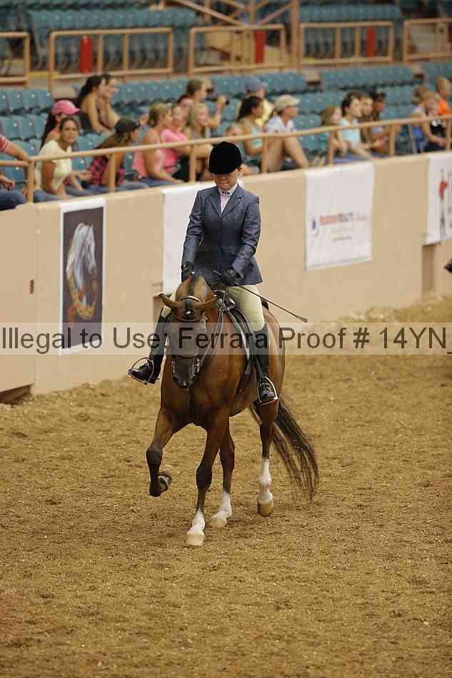 Proof 14yn_04208