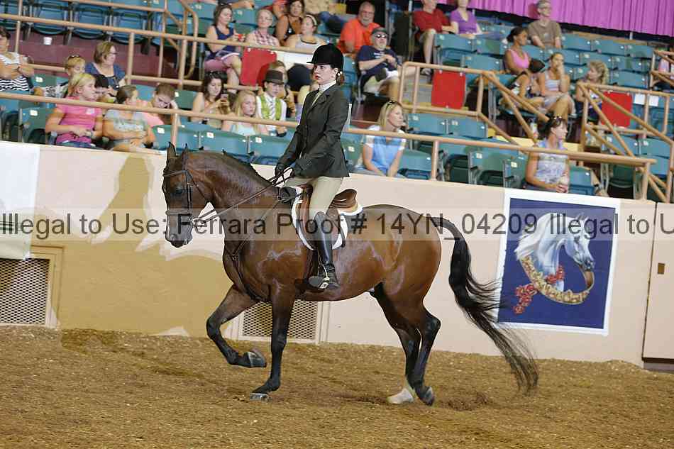 Proof 14yn_04209