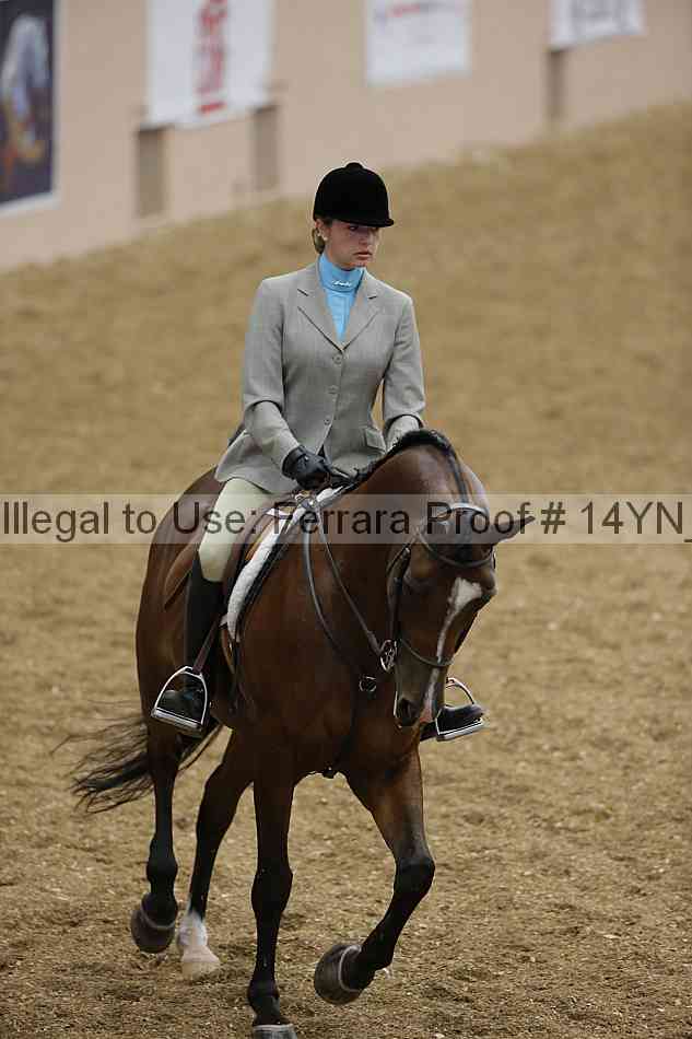 Proof 14yn_04213