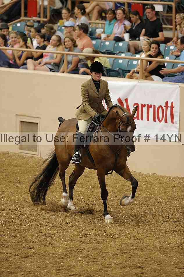 Proof 14yn_04219