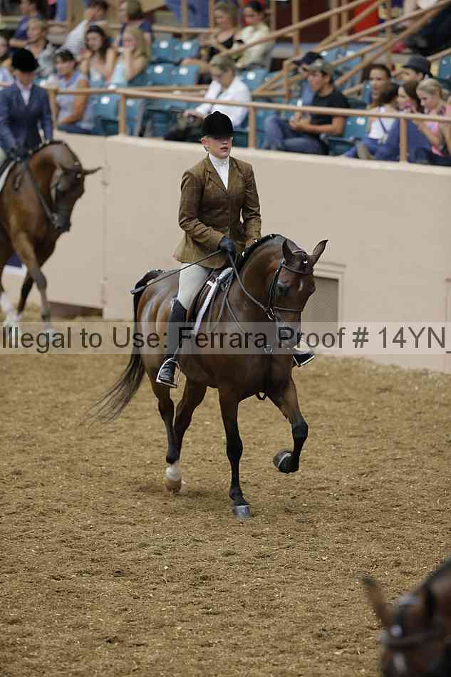 Proof 14yn_04221