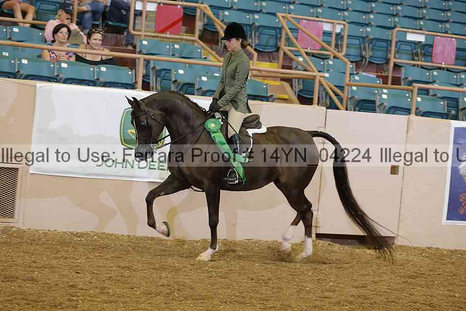 Proof 14yn_04224