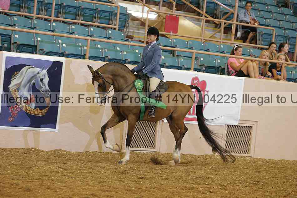 Proof 14yn_04225