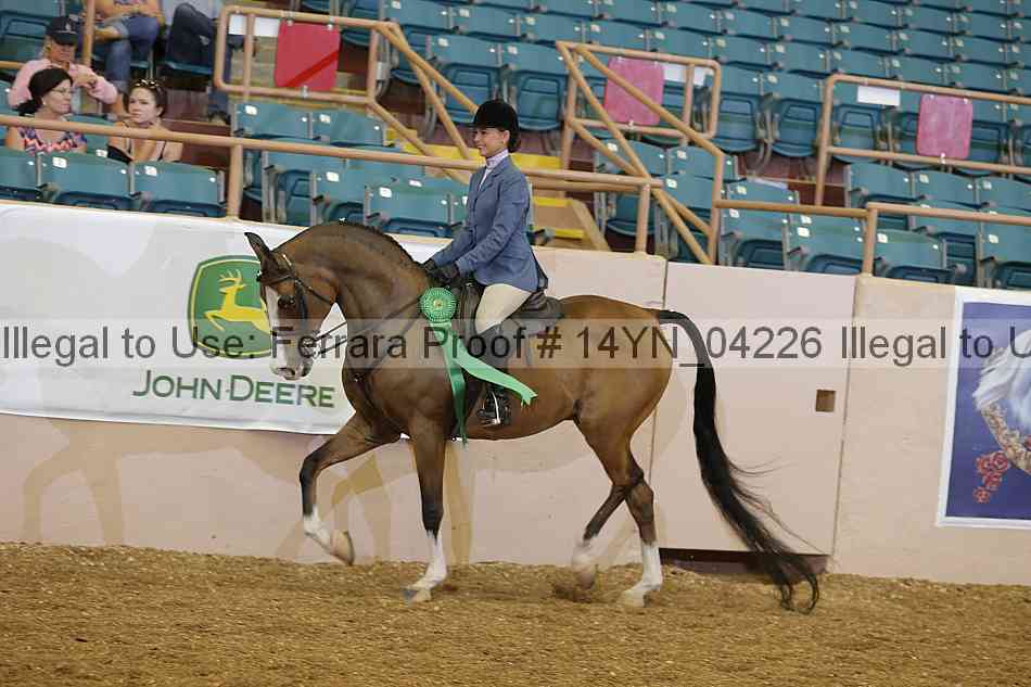 Proof 14yn_04226