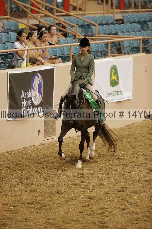 Proof 14yn_04228