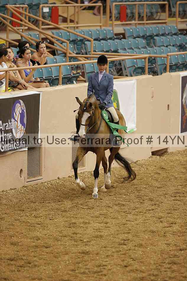 Proof 14yn_04229