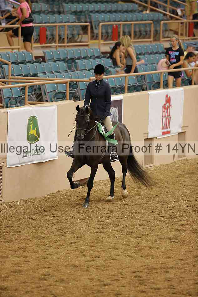 Proof 14yn_04232