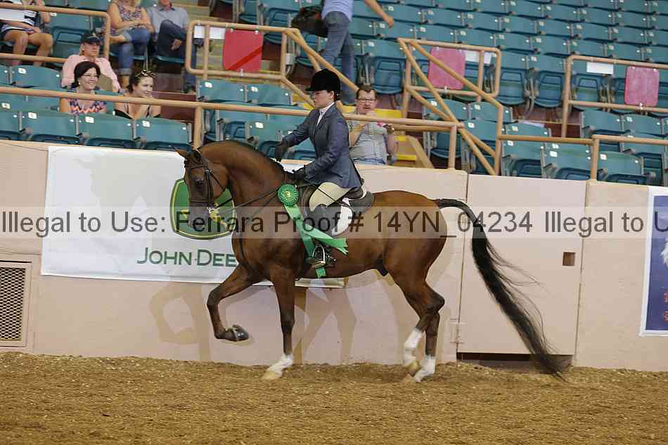 Proof 14yn_04234