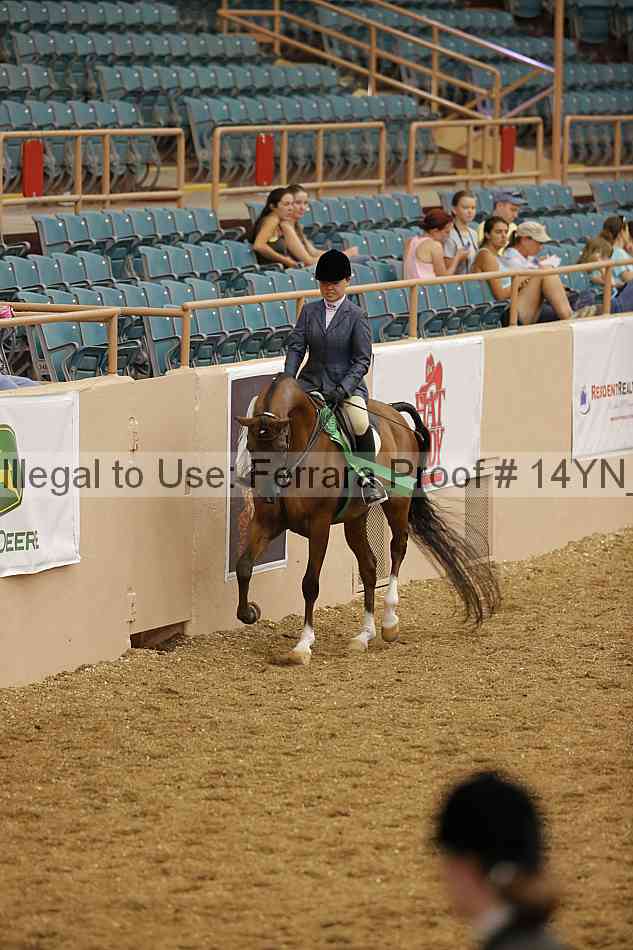 Proof 14yn_04235