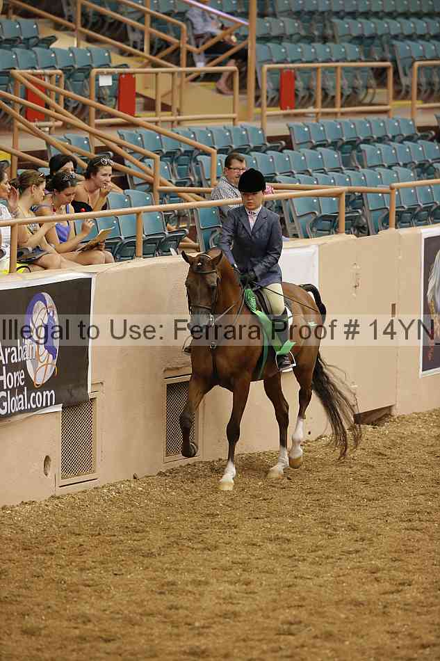 Proof 14yn_04236