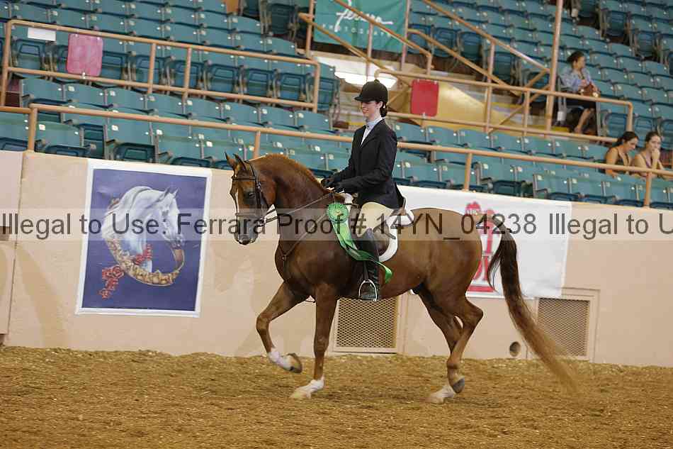 Proof 14yn_04238