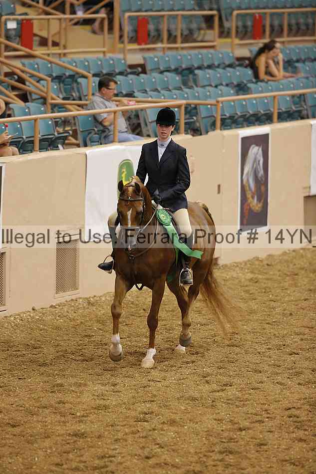 Proof 14yn_04239