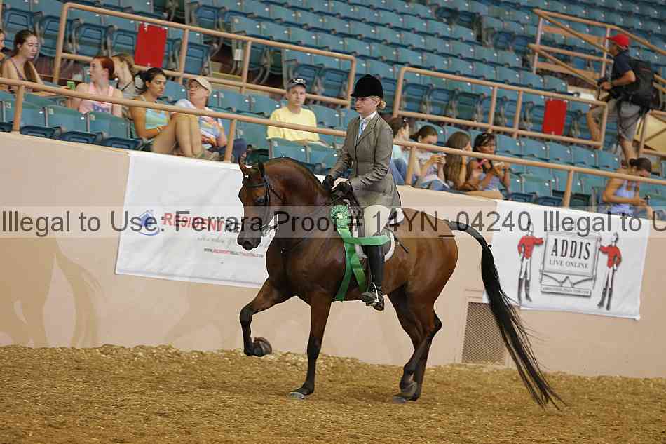 Proof 14yn_04240
