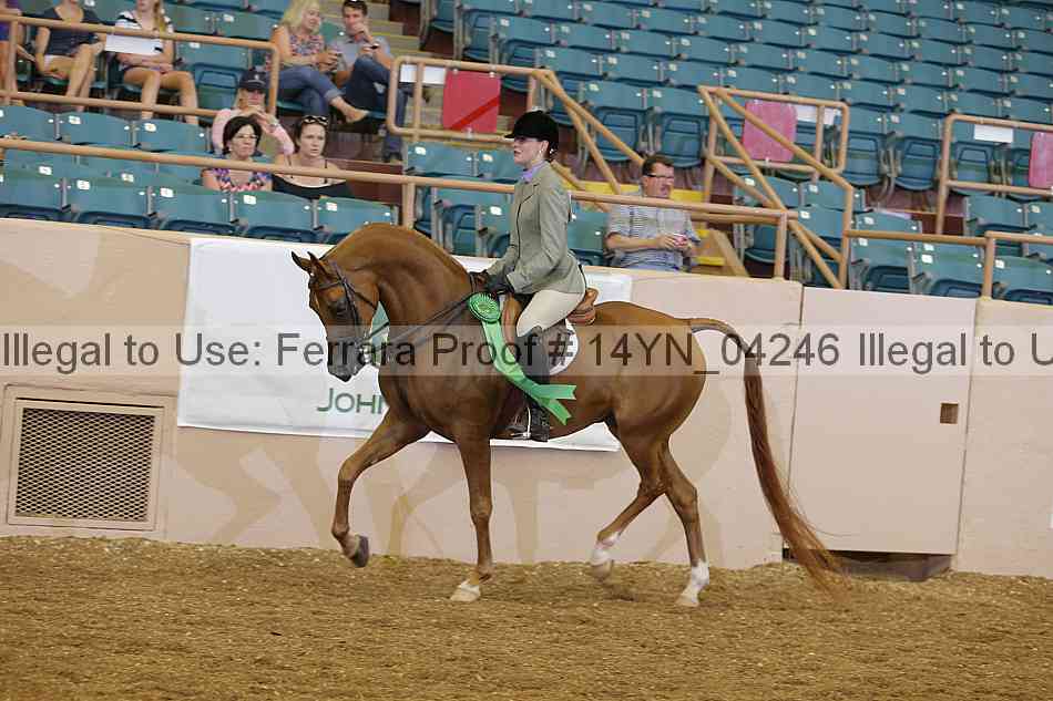 Proof 14yn_04246