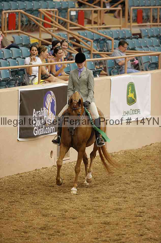 Proof 14yn_04247