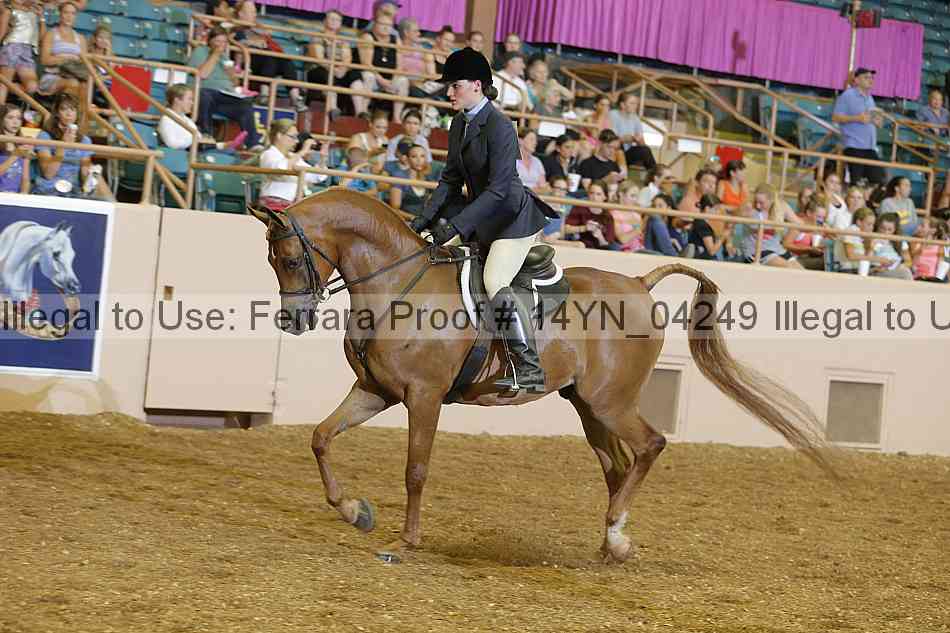 Proof 14yn_04249