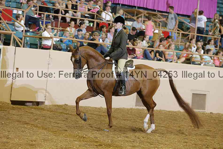 Proof 14yn_04253