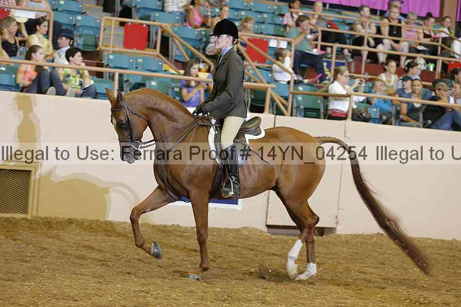 Proof 14yn_04254