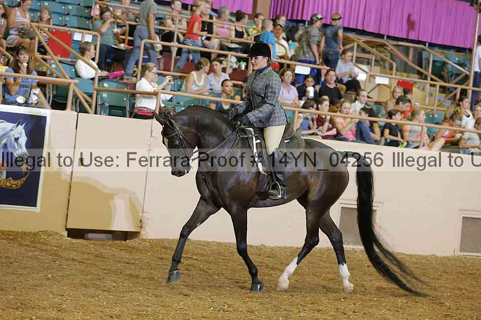 Proof 14yn_04256