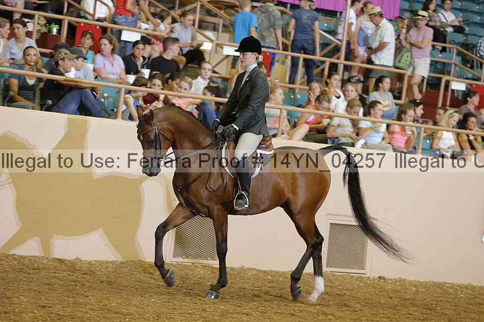 Proof 14yn_04257