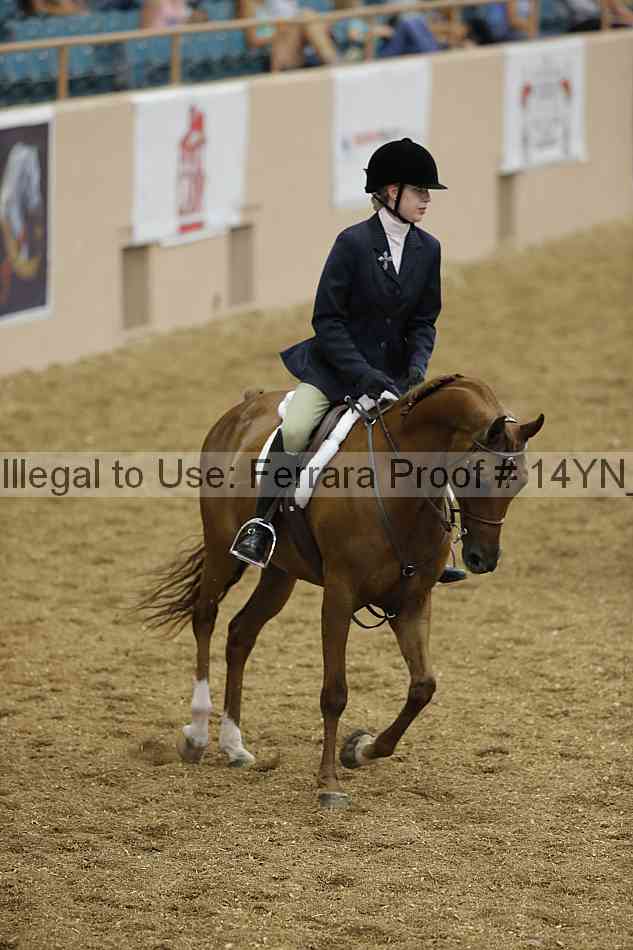 Proof 14yn_04258