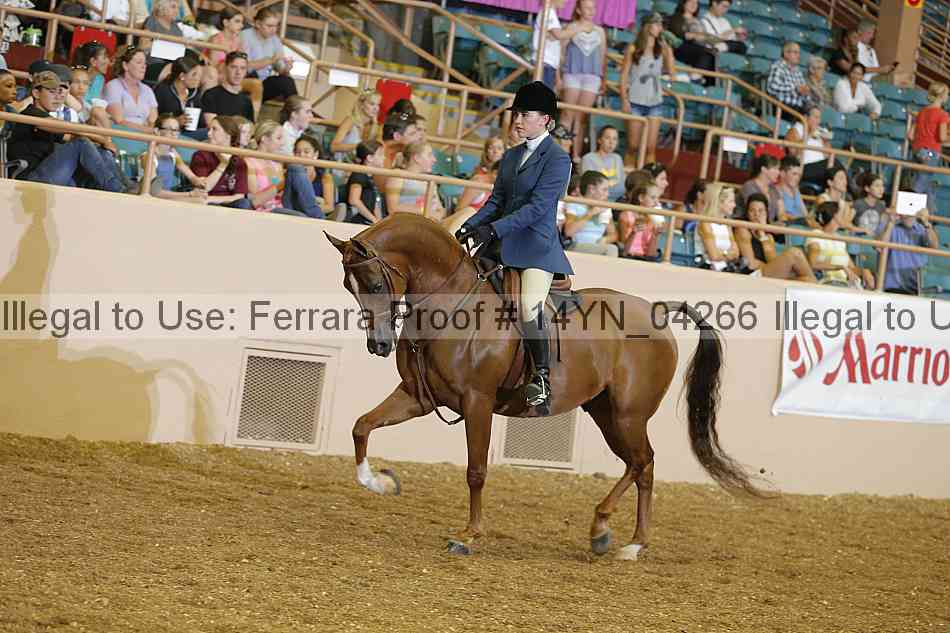 Proof 14yn_04266