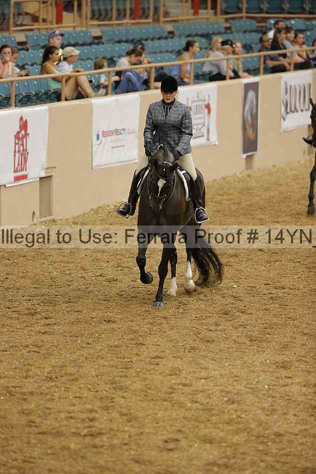 Proof 14yn_04267