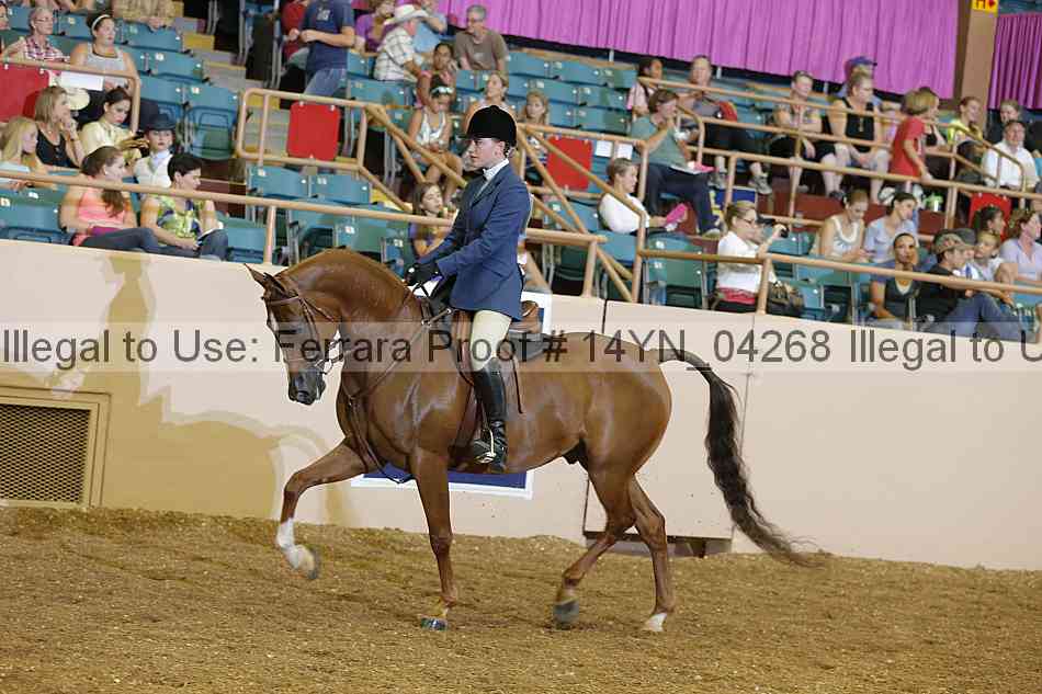 Proof 14yn_04268