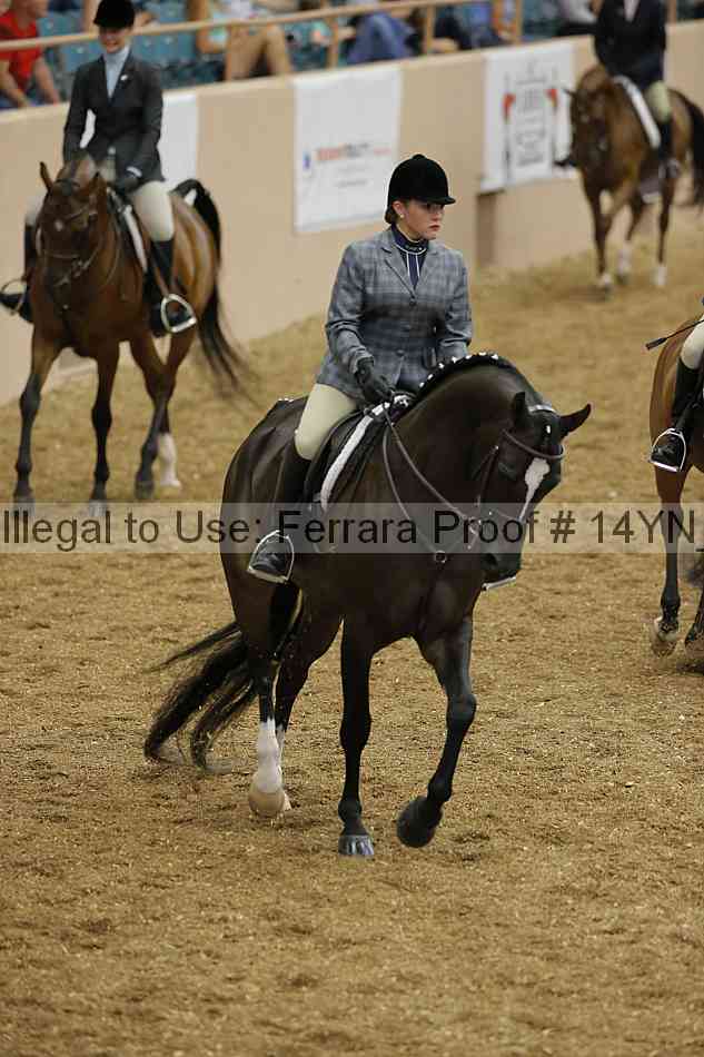 Proof 14yn_04269