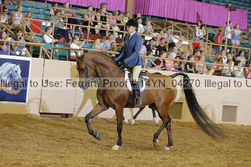 Proof 14yn_04270
