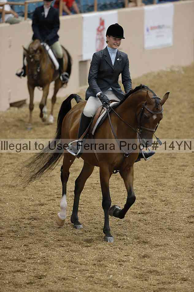 Proof 14yn_04271