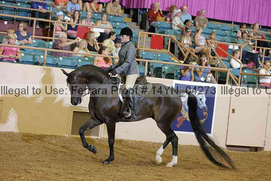 Proof 14yn_04273