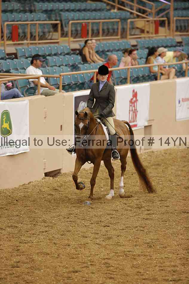 Proof 14yn_04275