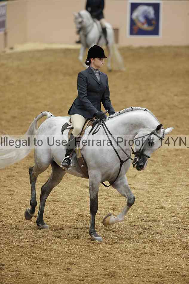 Proof 14yn_04276
