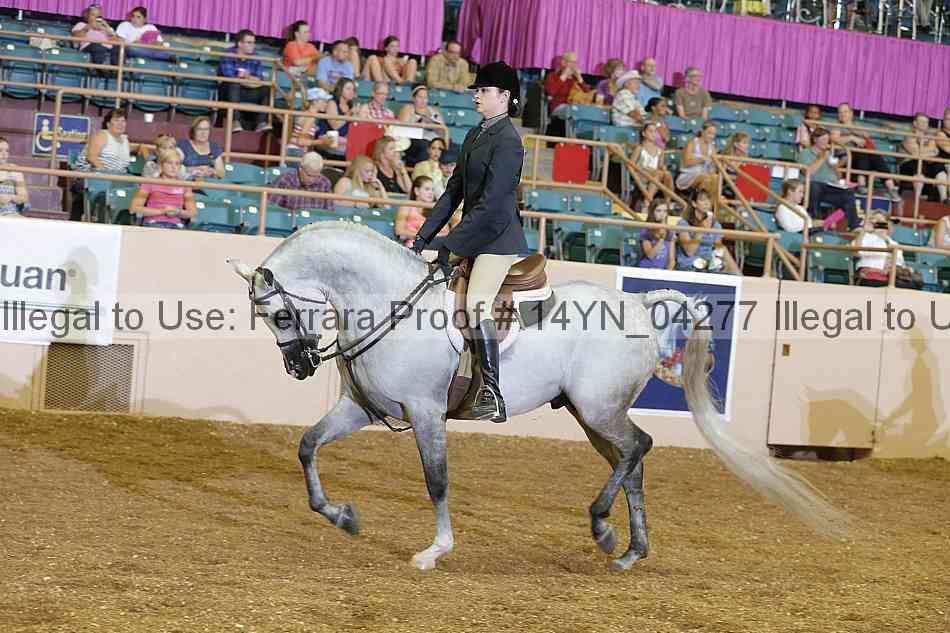 Proof 14yn_04277