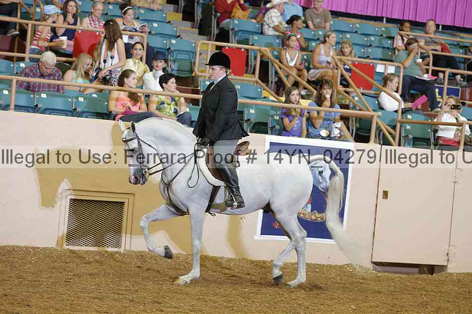Proof 14yn_04279