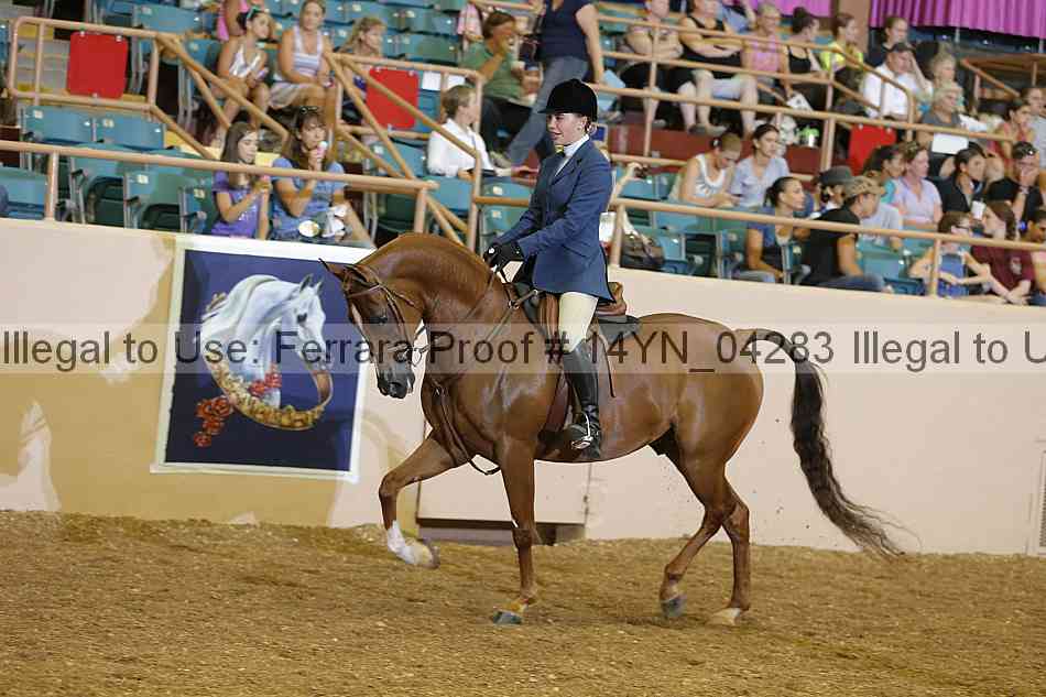 Proof 14yn_04283